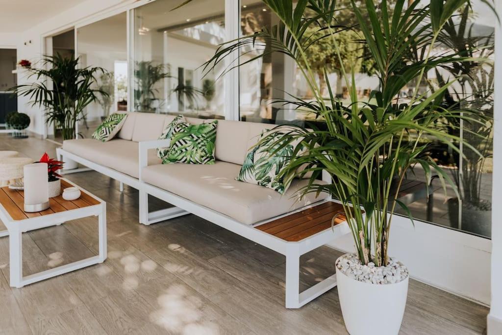 סנטה קרוז דה טנריף Malibu Ocean Villa מראה חיצוני תמונה